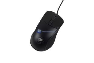 Cougar Surpassion 6