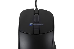 Cougar Surpassion 8